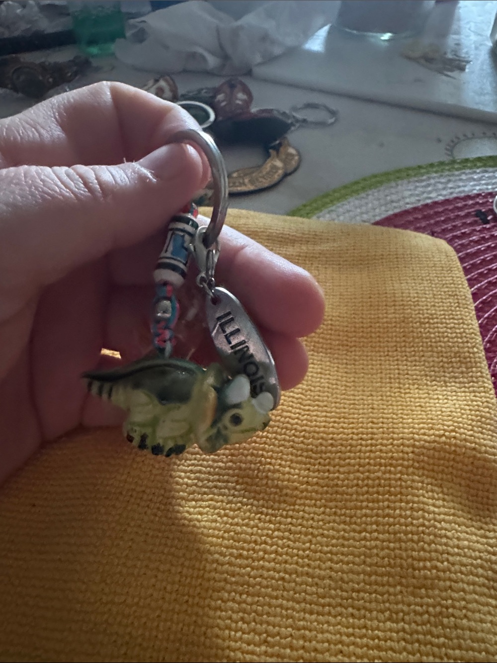 Illinois Turtle Charm Keychain - Green